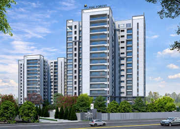 Prestige Pine Forest