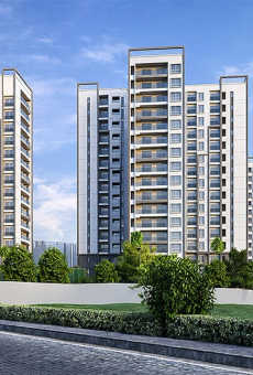 Prestige Pine Forest
