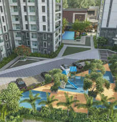 prestige-pine forest