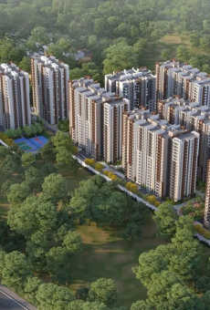 Pavani Mirabilia