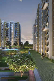 Purva Zenium