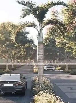 century-oneworld seraya