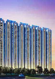 raymond-tenx habitat