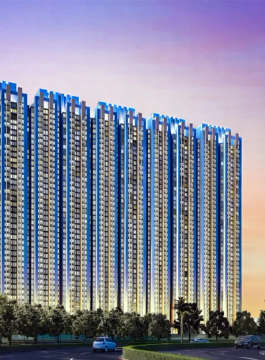 raymond-tenx habitat