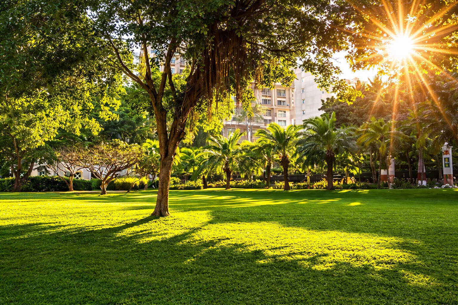 Hiranandani Empress Hill Powai - Outdoor Amenities 2