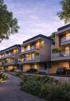 arvind-forest trails