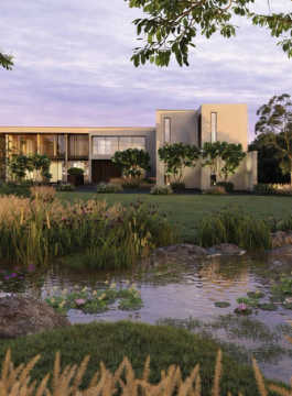 arvind-forest trails