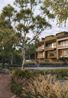 arvind-forest trails