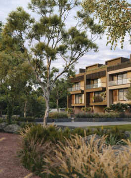 arvind-forest trails