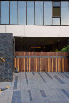 Platinum Palm Woods