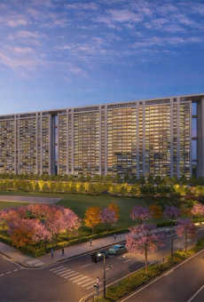 Kumar Magnacity
