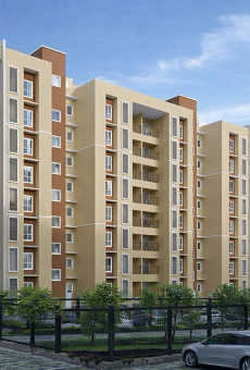 Shriram Shankari