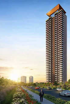 Signature Cloverdale