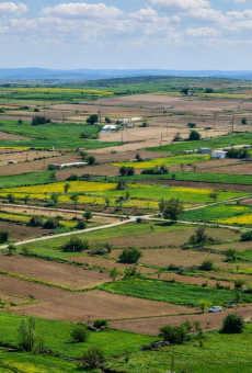 NeoLiv Khopoli Plots