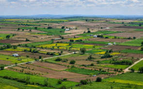 NeoLiv Khopoli Plots Khopoli
