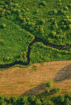 NeoLiv Khopoli Plots