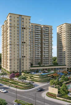 Sobha Nesara