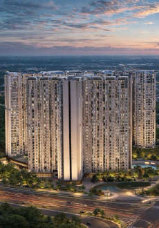 purva-northern lights