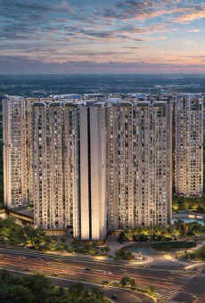 Purva Northern Lights