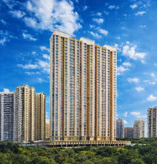 raunak-golden ticket