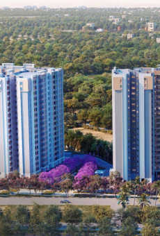 Embassy Verde