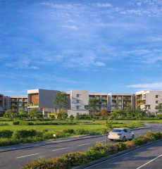 vajram-chrysanthemum