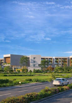 vajram-chrysanthemum