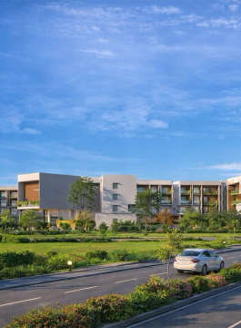 vajram-chrysanthemum