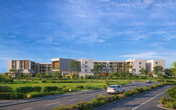 Vajram Chrysanthemum Yelahanka