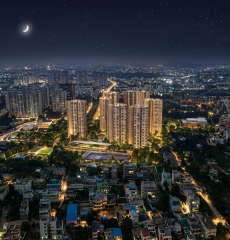 prestige-southern star