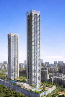 Bhoomi Simana