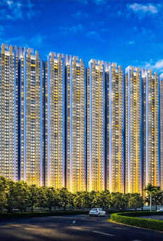 Raymond Realty Oasis