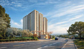Sobha Hoskote
