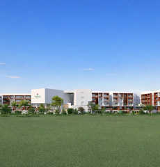 vajram-chrysanthemum