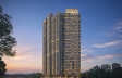 LNT Island Cove