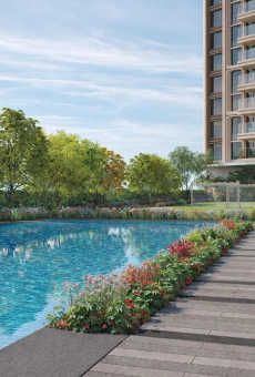 LNT Island Cove