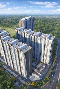 Provident Kenvista