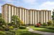 Shalimar Mannat