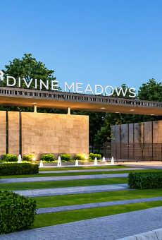 MJR Divine Meadows