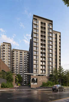 Goyal Orchid Salisbury