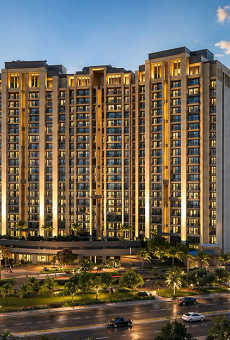 Shalimar Garden Bay Crown