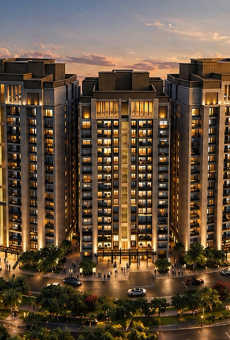 Shalimar Garden Bay Crown