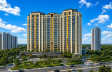 Shalimar Garden Bay Crown