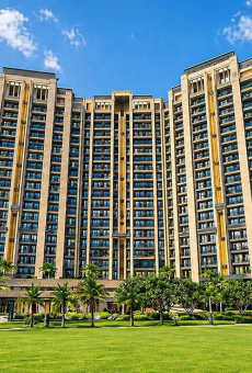 Shalimar Garden Bay Crown