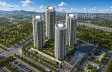 Aurum Q Islands