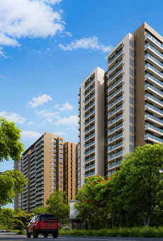 Prestige Evergreen
