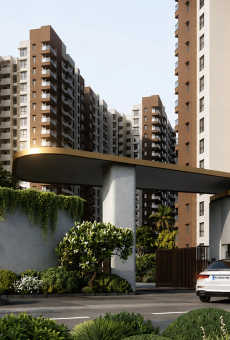 Prestige Evergreen