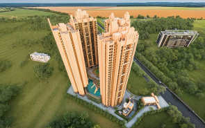 Sai Proviso Atlantis - Elevation