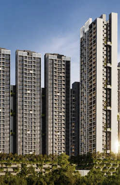 Rohan Harita