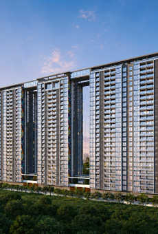 Dream Delmont